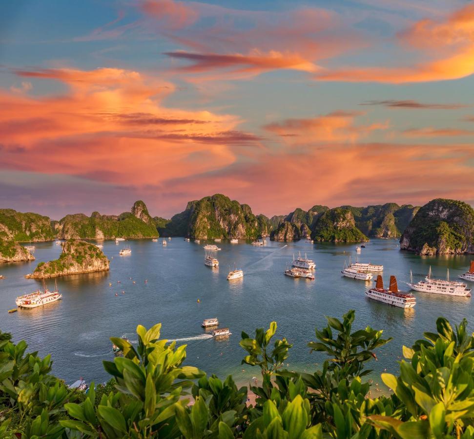 Syrena Cruises Hotel Ha Long Eksteriør billede